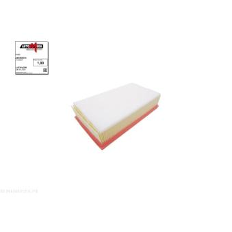 Filtre à air AUTOMEGA [246369310]
