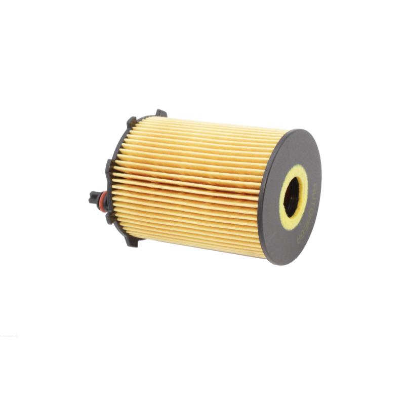 Filtre à huile AUTOMEGA 246371810 - Visuel 2