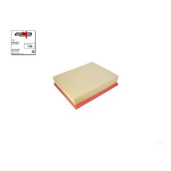 Filtre à air AUTOMEGA OEM 6C0129620