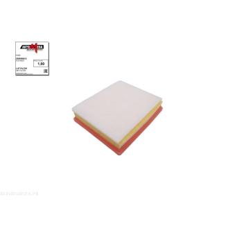 Filtre à air AUTOMEGA [250050610]