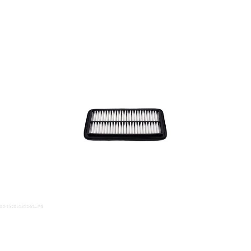 Filtre à air AUTOMEGA 250051310 - Visuel 2