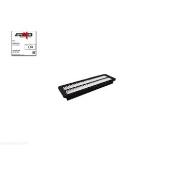 Filtre à air AUTOMEGA [250051410]