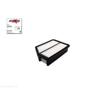 Filtre à air AUTOMEGA [250052610]