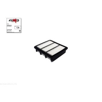 Filtre à air AUTOMEGA 250052910 pour KIA CEED 2.0 CRDi - 140cv