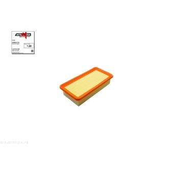 Filtre à air AUTOMEGA [250053110]