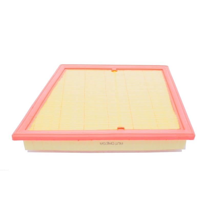 Filtre à air AUTOMEGA 250053210 - Visuel 2