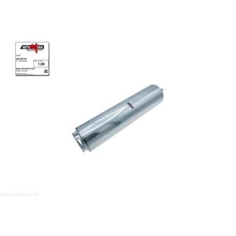 Filtre à carburant AUTOMEGA [250100110]