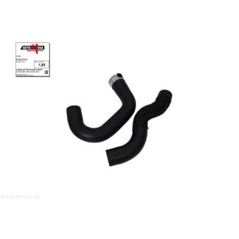 Gaine de suralimentation AUTOMEGA OEM 95371558