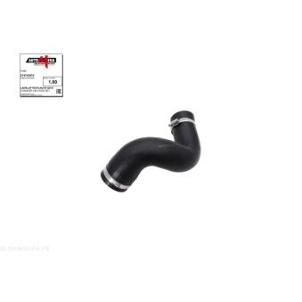 Gaine de suralimentation AUTOMEGA 274742510 pour LEXUS RC 2.0 TFSI - 200cv