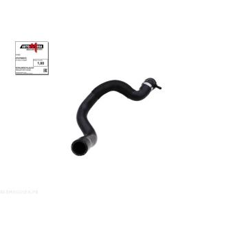 Durite de radiateur AUTOMEGA OEM 1K0121156AF