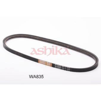 Courroie trapézoïdale ASHIKA OEM B30318381 Courroie trapézoïdale ASHIKA OEM B30318381