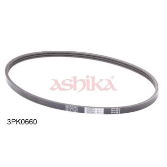 Courroie trapézoïdale à nervures ASHIKA OEM 571702D100