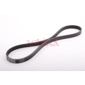 Courroie trapézoïdale à nervures ASHIKA OEM P96352517