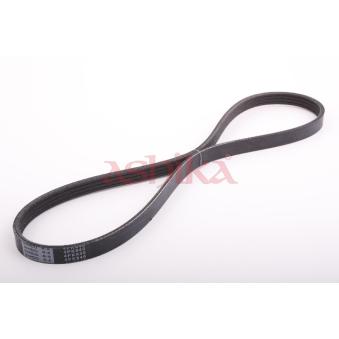 Courroie trapézoïdale à nervures ASHIKA OEM 31110P3G004