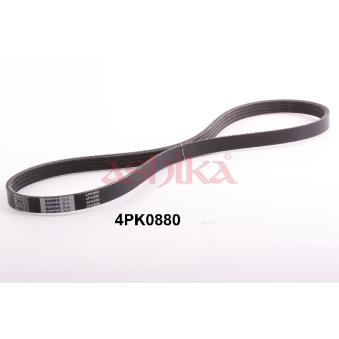 Courroie trapézoïdale à nervures ASHIKA OEM 9936520880