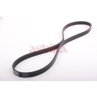 Courroie trapézoïdale à nervures ASHIKA OEM MN155726