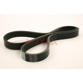 Courroie trapézoïdale à nervures ASHIKA OEM 9091602403