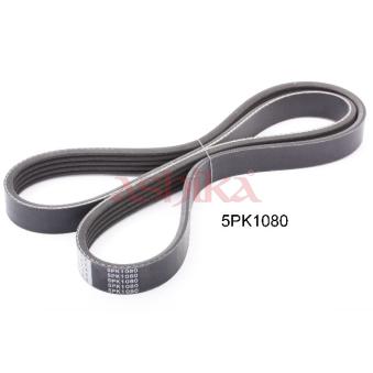 Courroie trapézoïdale à nervures ASHIKA OEM 9936531080 Courroie trapézoïdale à nervures ASHIKA OEM 9936531080