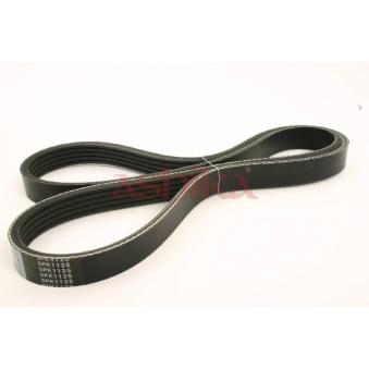 Courroie trapézoïdale à nervures ASHIKA OEM 8200786314