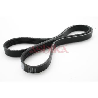 Courroie trapézoïdale à nervures ASHIKA OEM 2521203200