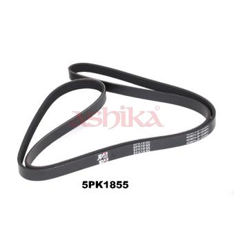 Courroie trapézoïdale à nervures ASHIKA OEM 252122A330