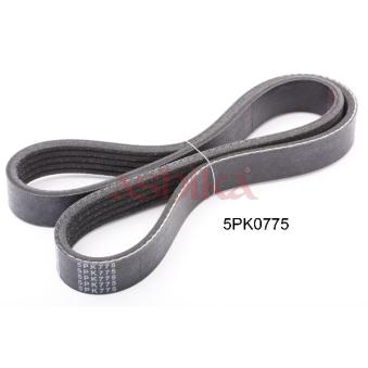 Courroie trapézoïdale à nervures ASHIKA OEM 117206F905