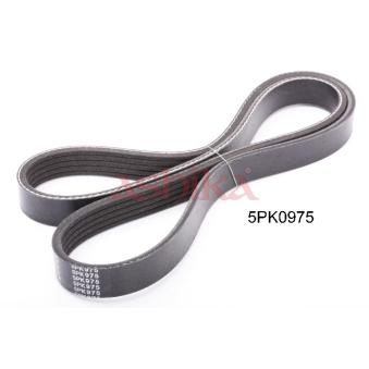 Courroie trapézoïdale à nervures ASHIKA OEM 9936500980