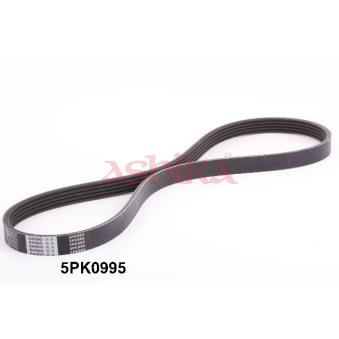 Courroie trapézoïdale à nervures ASHIKA OEM 9936550995