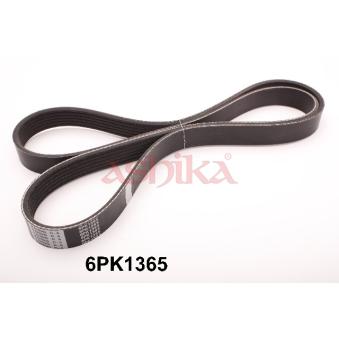 Courroie trapézoïdale à nervures ASHIKA OEM PQS500460 Courroie trapézoïdale à nervures ASHIKA OEM PQS500460
