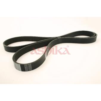 Courroie trapézoïdale à nervures ASHIKA [112-6PK1620]
