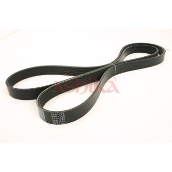 Courroie trapézoïdale à nervures ASHIKA OEM 4593823AA