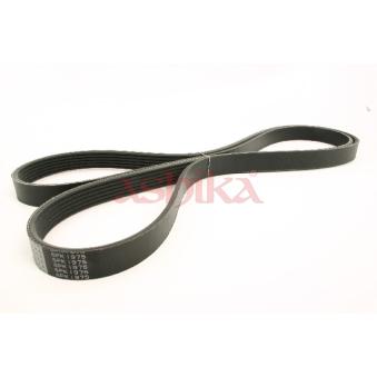 Courroie trapézoïdale à nervures ASHIKA OEM YF0915909