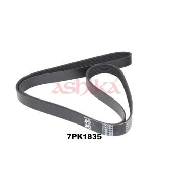 Courroie trapézoïdale à nervures ASHIKA OEM 809225000