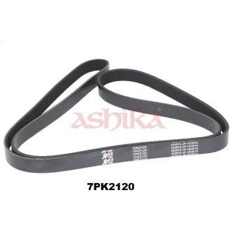 Courroie trapézoïdale à nervures ASHIKA OEM 9091602571 Courroie trapézoïdale à nervures ASHIKA OEM 9091602571