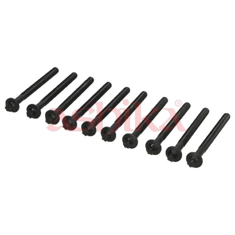 Vis de culasse ASHIKA 115-01-103 - Visuel 1