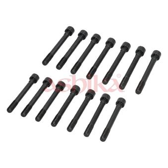 Vis de culasse ASHIKA OEM 11056V7201