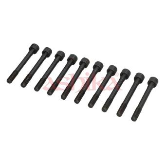 Vis de culasse ASHIKA 115-01-108