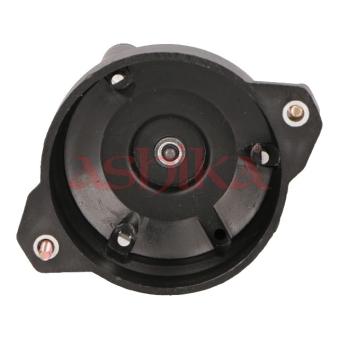 Tête d'allumeur ASHIKA [121-0W-W01]