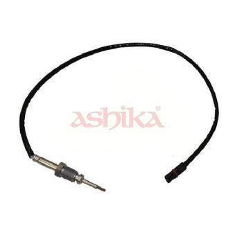Capteur, température des gaz ASHIKA 161-00-0100 pour BMW Série 3 320 i - 170cv