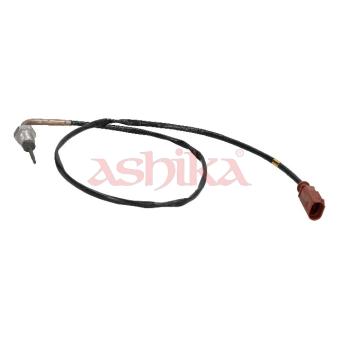 Capteur, température des gaz ASHIKA OEM 04L906088BB