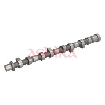 Arbre à came ASHIKA 16NS006