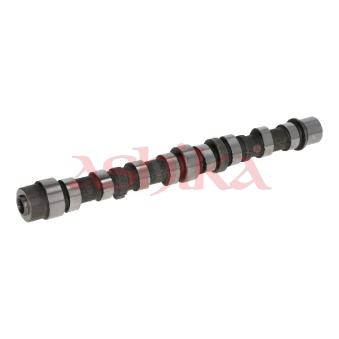 Arbre à came ASHIKA 16SZ004 pour OPEL CORSA 1.3 CDTI - 70cv