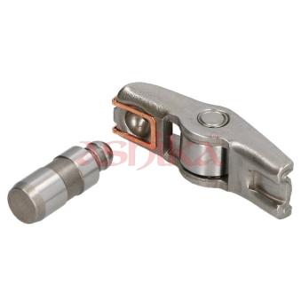 Culbuteur, distribution ASHIKA 17CH000