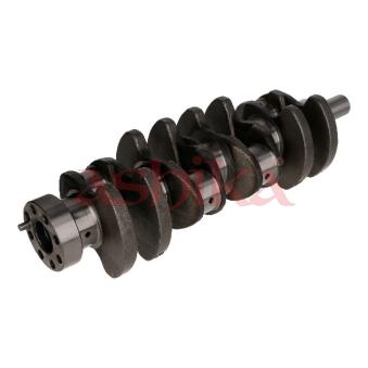 Vilebrequin ASHIKA [18KI000]