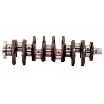 Vilebrequin ASHIKA [18KI002]