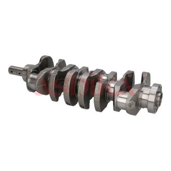 Vilebrequin ASHIKA 18NS000