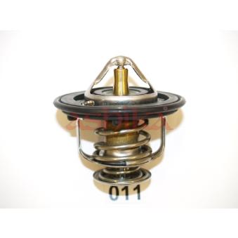 Thermostat d'eau ASHIKA OEM 5860195130