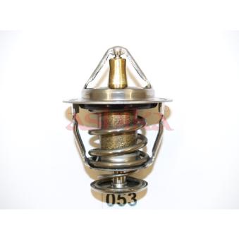 Thermostat d'eau ASHIKA OEM 1N0815171