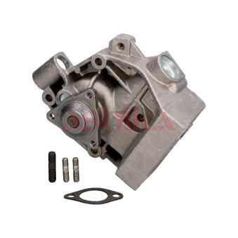 Pompe à eau ASHIKA OEM 1201C9 Pompe à eau ASHIKA OEM 1201C9