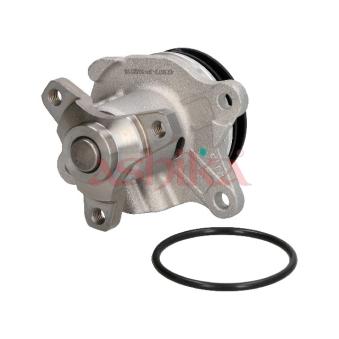 Pompe à eau ASHIKA OEM 6000616650 Pompe à eau ASHIKA OEM 6000616650